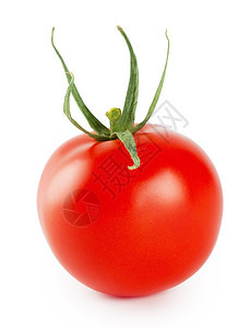 颜色成熟多汁的在白色背景上孤立的西红柿图片