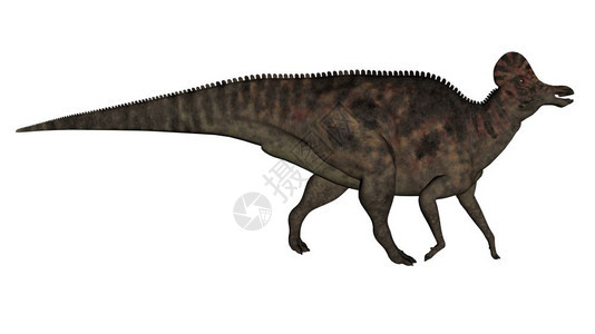 时代在白色背景中与世隔绝的恐龙3D使变成3DD史前古生物学图片
