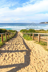 海岸通往滩的道路淡水曼利新南威尔士州澳大利亚新的沿海图片