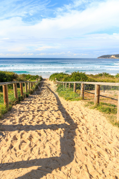 海岸通往滩的道路淡水曼利新南威尔士州澳大利亚新的沿海图片