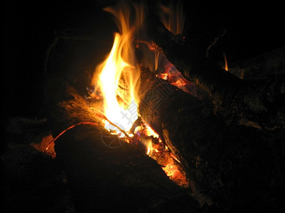 夜晚柴户外篝火和燃烧的在夜间图片