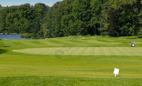 游戏湖边森林高尔夫球场高尔夫球场草地景观图片