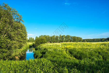 一种自然场地俄罗斯中部有一条小河的夏季风景位于俄罗斯中部图片