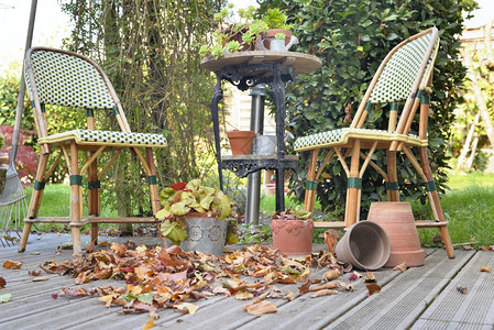 秋天有树叶覆盖的木院子上椅和桌花园季节木制的图片