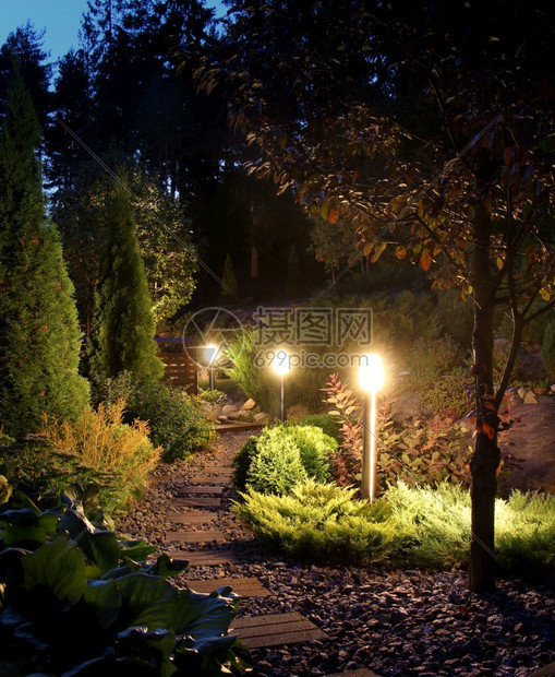 户外晚上的灯光照亮了花园小道图片