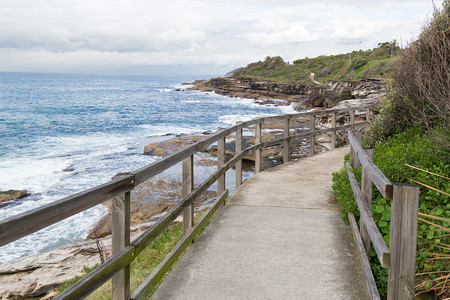 小路新的海伦澳大利亚悉尼淡水湾附近新南威尔士州海岸线上的新南威尔士步行道图片