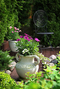 阴凉花的夏天和平园院子用泥锅中的花朵感觉图片