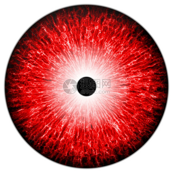 形象的瞳孔眼球显示红色睛在白背景上闪光反射的红眼睛图片