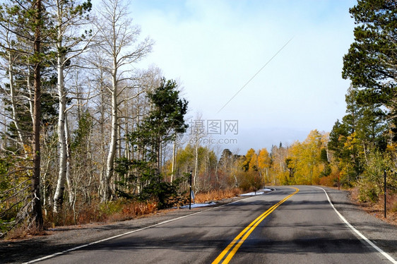 道路沿途的秋季景色图片
