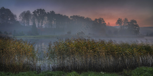迷雾沼泽里的日出图片