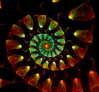 鹦鹉螺几何学伟大的旋壳抽象分形黑色背景伟大的螺旋壳抽象分形黑色背景零件图片