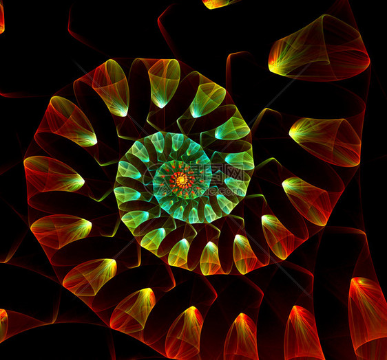 鹦鹉螺几何学伟大的旋壳抽象分形黑色背景伟大的螺旋壳抽象分形黑色背景零件图片