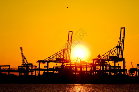港口的落日图片