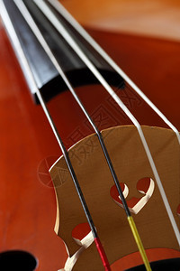 低音提琴木头字符串双低音或立起的桥架和弦闭合图像图片