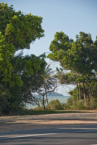 澳大利亚在昆士兰州任务海滩附近的澳大利亚乡村树靠近澳大利亚人图片