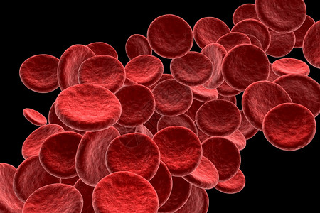 有机的微观生活3d红血细胞变异图片