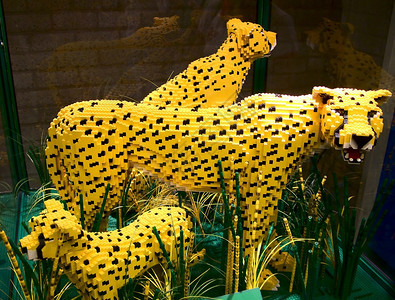 三只猎豹由大腿制成三只黄色猎豹由大腿制成展览苹果浏器博会图片