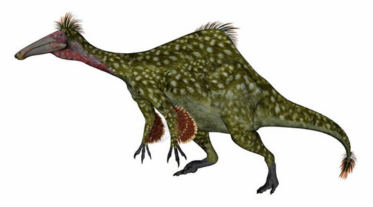 古生物学Deinocheirus恐龙在白色背景中孤立行走3D使Deinocheirus恐龙变成3D自然数字的图片