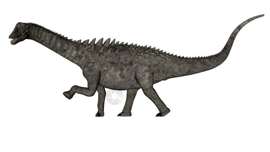 在白色背景中孤立行走的亚太龙恐3D化为亚太龙恐3D化为草食动物古生学蛇龙图片