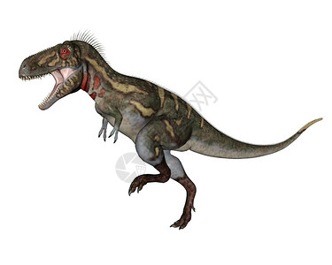诺亚兰努斯恐龙在白色背景下行走三维转化形象的野生动物步行图片