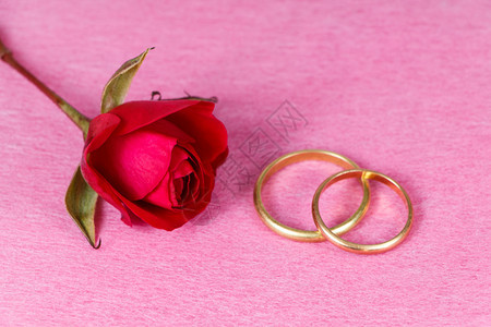 花金子粉红色背景的金玫瑰两枚结婚戒指天背景图片