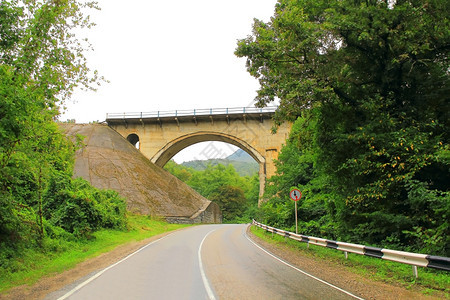 植物群假期全景具有桥梁和道路的景观图象图片