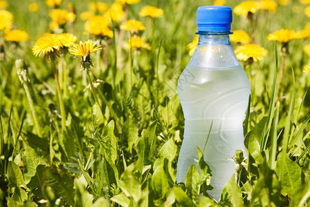 夏季草原的冷水瓶子干净的纯度图片