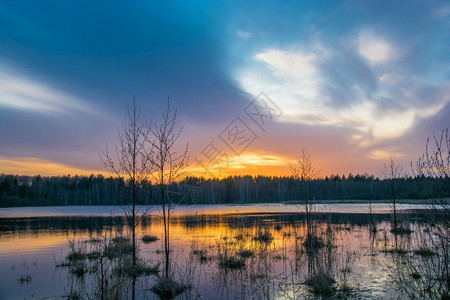阳光俄罗斯中部小森林湖的美丽橙色日落位于俄罗斯中部天空海岸图片