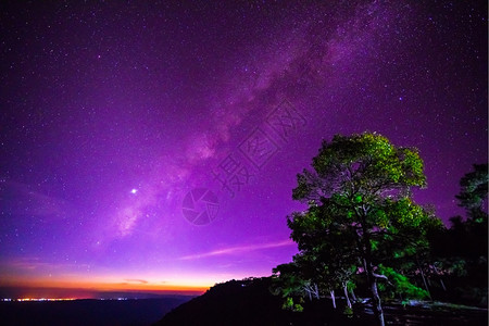 森林的夜空和银河图片