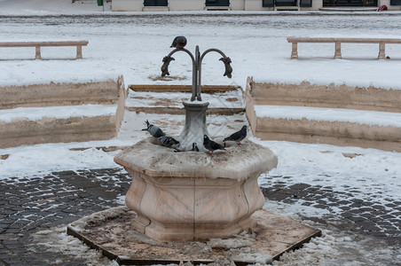 雪喝羽毛冷冻喷泉的鸽子饮用水背景图片