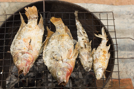 木炭炉灶上的烤鱼烧伤饮食图片