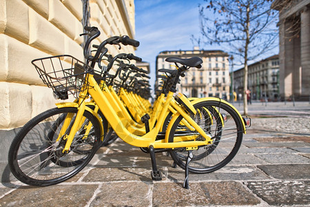 城市公众使用的自行车城市的旅生态图片