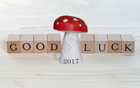 瓢虫幸福2017年在木头上出现的好运与幸符等字财富图片