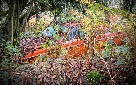 老的生锈旧坏掉橙色汽车在森林坠毁旧的坏了汽车在森林坠毁倾倒图片