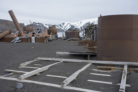遗迹锅炉南极洲霸权岛一个废弃捕鲸站的碎尸骨偏僻的图片