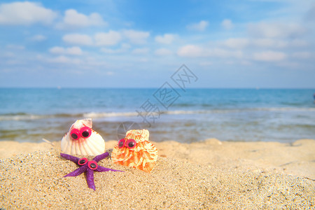有趣的贝壳在海滩上的眼睛和背景海面人物观星图片