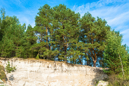 夏天爬坡道树木阳光明媚的一天在沙悬崖边缘的青绿松林图片