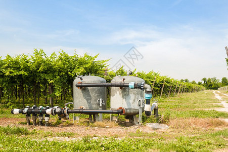 纳达林葡萄园用于农业的抽水系统配有扩张罐泵图片