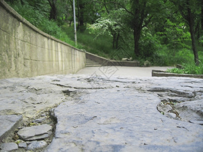 灰色的夏天森林通往绿色公园的道路图片