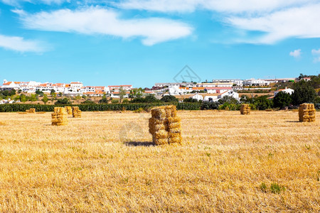 阿尔热祖村庄农在葡萄牙Aljezur附近田地上的Haybales图片