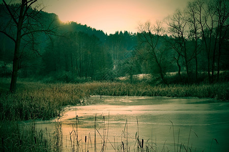 景观幽灵般的冬季寒时森林和湖泊的密冻闹鬼场景图片