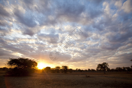 环境美丽的非洲日落与无尽的天空树非洲人图片