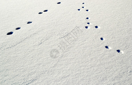 游戏荷兰瓦塞纳尔Horsten的沟渠上积雪印刷反复无常冬天图片