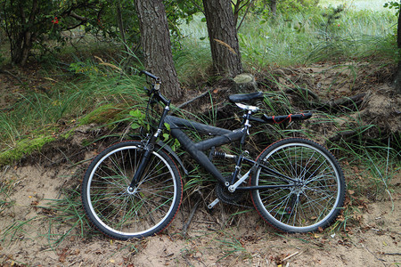 森林树旁的自行车旅脚踏在前景旅游冒险木头图片