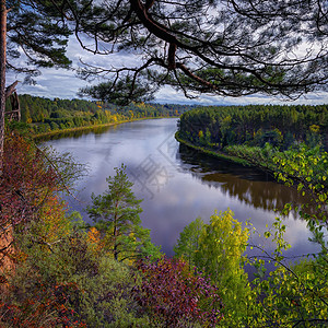 立陶宛Birstonas附近的Nemunas观察点松树比尔斯托纳秋天图片