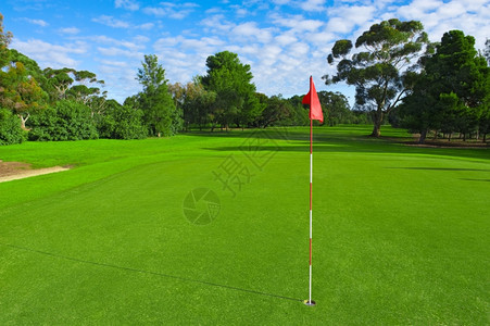 夏天一种休闲的绿色高尔夫球场的风景有树木和明蓝的天空图片