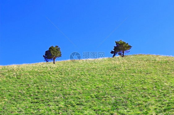 美丽的山顶美景图片