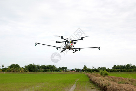 生长创新概念飞行无人驾驶机空中无人驾驶飞机用于农业工收成控制图片
