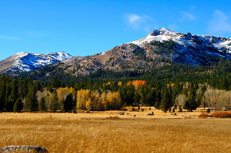 山下的秋季农场图片