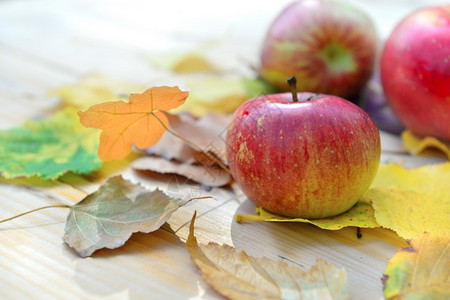 秋天的苹果图片